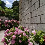 Apartment Djivo