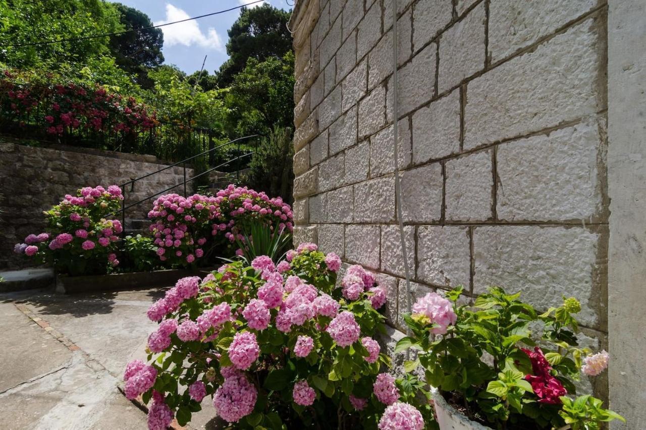 Appartement Djivo Dubrovnik