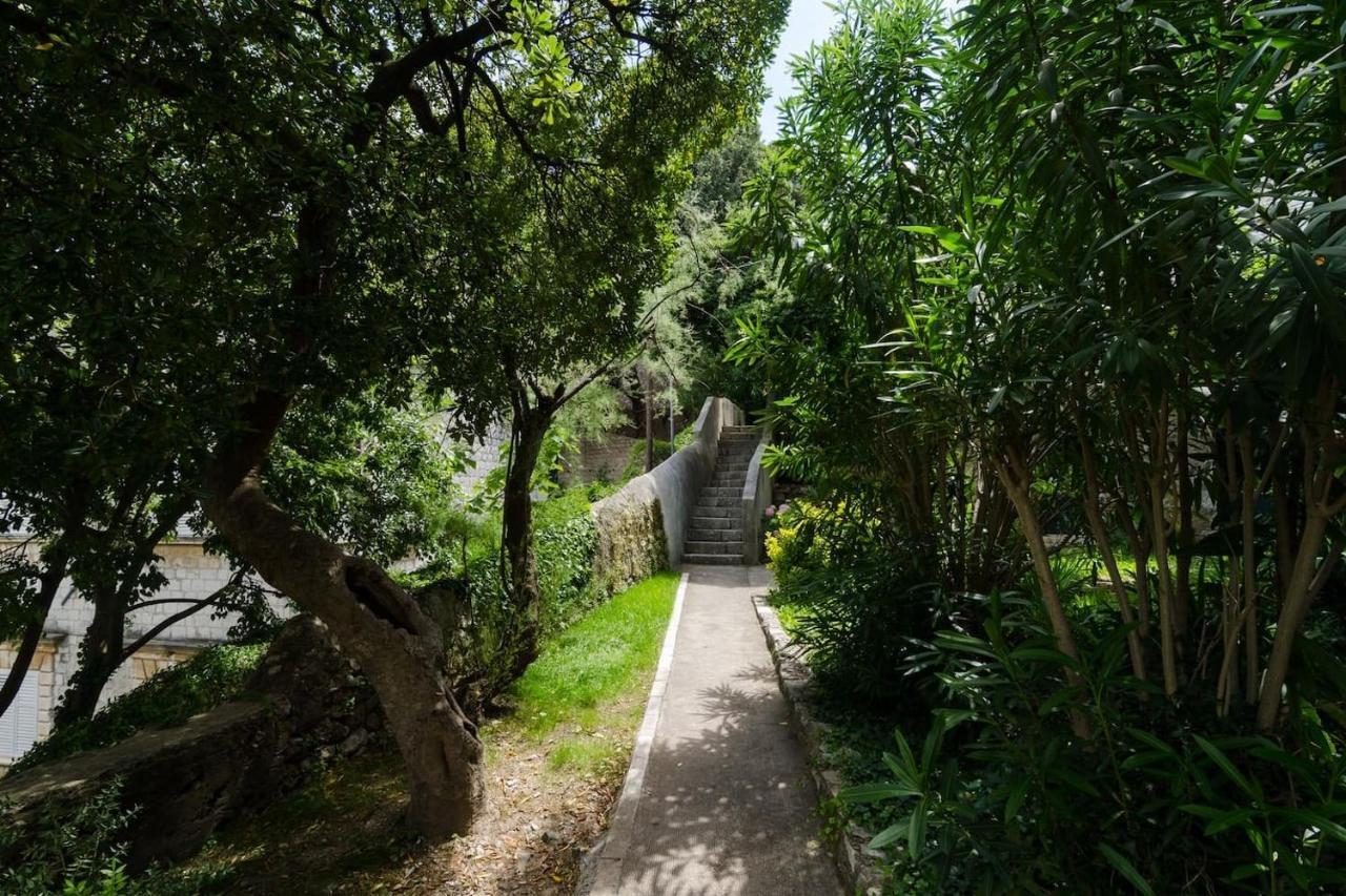 Djivo Appartement Dubrovnik